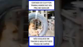 CARAMELO VIRALIZA BALANÇANDO NO PNEU 😂😂😂😂😂😂 [upl. by Benedikta600]