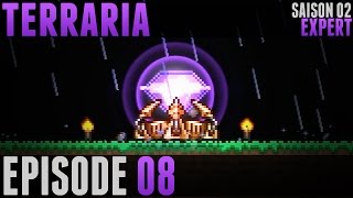 Terraria Expert  08  Cristal dEternia [upl. by Sellers]