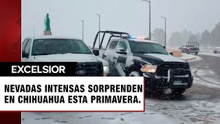 Autoridades reportan intensas nevadas en Chihuahua en plena primavera [upl. by Yrbua249]