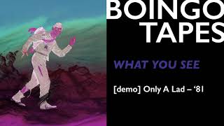 What You See Demo – Oingo Boingo  Only A Lad [upl. by Rovert849]