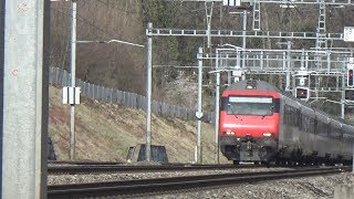 Trainspotting in Geneva Switzerland  Swiss Federal Railways [upl. by Jereme]