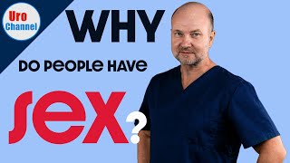 Why do people have sex  UroChannel [upl. by Napoleon]