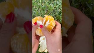 Algunos beneficios de la naranja tangelo nutricion saboresdelcampo frutasfrescas vidasana [upl. by Argela]