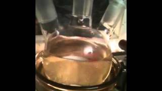 Beggining Chemistry Solvent Removal Under Vacuum [upl. by Ahsiryt]