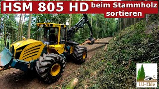 HSM 805 HD beim Stammholz sortieren  MaschinenSound [upl. by Priebe]