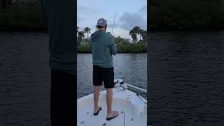 Jack city bigfish fishing fish shimano florida newsmyrnabeach stcroixrods [upl. by Inaleon]