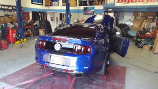 Shelby GT500 Super Snake 800HP Dyno Widebody 4K [upl. by Aedni]