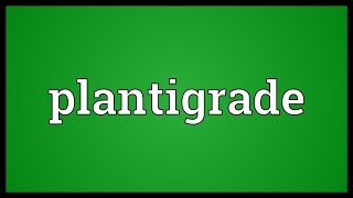 Plantigrade Meaning [upl. by Tallbot361]