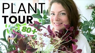 PLANT TOUR 2018  Ma collection complète de plantes dintérieur  Plantes vertes et orchidées [upl. by Yaron]