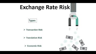 What is Foreign Exchange Rate Risk [upl. by Loretta747]