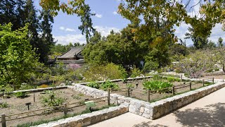 The Chinese Medicinal Herb Farm [upl. by Libby207]