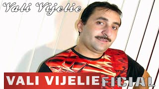 VALI VIJELIE  Te iubesc te iubesc OFICIAL AUDIO TRACK [upl. by Ttenaj]