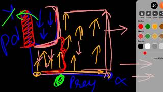 Lotka voltera model extension explained  special cases ecology csir 2024😎🔥💯🤓🔥 [upl. by Nomled591]