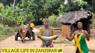 Village Life In Zanzibar Tanzania 🇹🇿  The Other Side Of Zanzibar 🇹🇿 [upl. by Enirac]