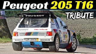 Peugeot 205 T16 Evo 2  Group B Rally Legend Tribute  Engine Sound amp Exhaust Flames 💥 [upl. by Alyosha301]