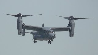 V22 Osprey 2 x US Air Force  Landing  Takeoff  Hamburg [upl. by Nagud489]