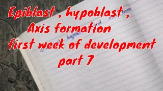 Epiblast Hypoblast Axis formation first week of development part 7 embryology [upl. by Billmyre]