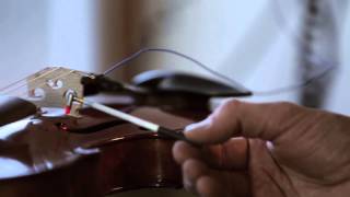 The quest for the perfect violin sound [upl. by Nodmac]