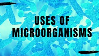 Microorganisms  Uses of microorganisms [upl. by Daus]