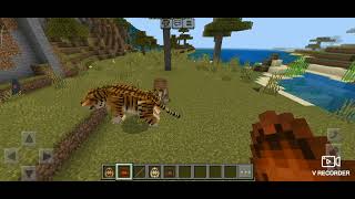 Smilodon Tiger and Ngandong Tiger vs Cave Lion and Americana Lion Minecraft batalla de felinos 🐯🐯🆚🦁🦁 [upl. by Etrem72]