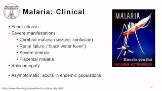 Protozoa Intro and Bloodborne Infections [upl. by Ihsorih]