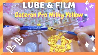 How to lube amp film switches  ft Gateron Pro Milky Yellow [upl. by Lim]