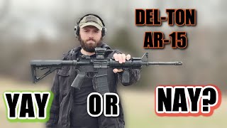 DELTON AR15 RIFLE IS IT WORTH THE PRICE [upl. by Nnylyam]