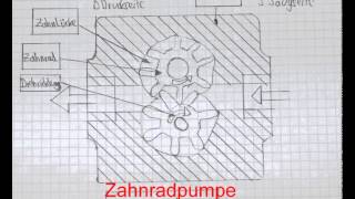 Interview mit dem Experten Zahnradpumpe [upl. by Kroy]