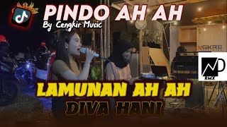 PINDO AH AH PASANG KANG TANPO WANGENAN Voc Diva Hani  DJ LAMUNAN Ah Ah VIRAL TIKTOK 2024 [upl. by Dorice]