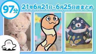 【赤ちゃんが泣きやむ】シナぷしゅ公式210621～0625まとめ│テレビ東京ｘ東大赤ちゃんラボ│赤ちゃんが喜ぶ知育の動画 [upl. by Mutat]