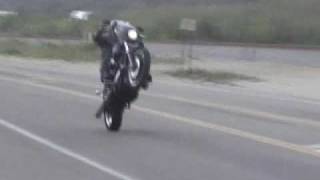 Dyna Super Glide Sport Wheelie [upl. by Acimat255]