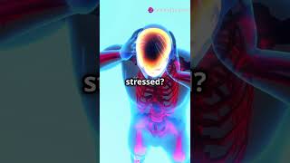 Neurotransmitters effect mood nervoussystem knowyourbody fitnessmotivation facts bodysystem [upl. by Sylram]