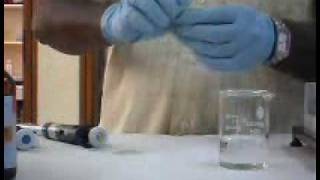 Poly Acrylamide Gel Electrophoresis method [upl. by Ailsa]