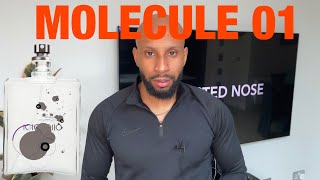 MOLECULE 01 … DOES IT WORK Review [upl. by Eelak440]