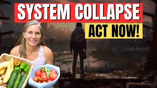 How To Prepare For The Total Collapse of The System  Marjory Wildcraft Interview [upl. by Ardyth85]