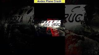 Andes plane crash andes plane crash survivorsytshorts youtubeshorts shorts viralshorts [upl. by Luthanen]