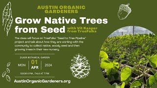 Grow Native Trees from Seed [upl. by Sheridan279]