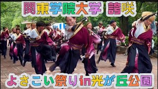 よさこい祭りin光が丘公園 2024【関東学院大学 誇咲＆東京理科大学Yosakoiソーラン部＆早稲田大学quot踊り侍”】 [upl. by Nilknarf698]