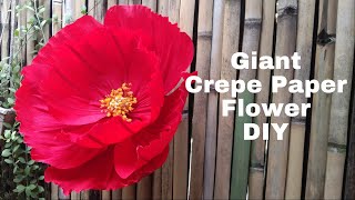 Pretty Giant Crepe Paper Flower DIY [upl. by Kroll87]