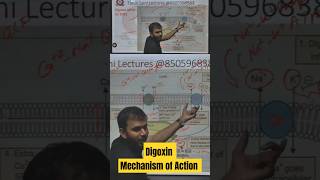 Digoxin Mechanism of action How digoxin Work  Cardiac Glycosides [upl. by Emmye296]