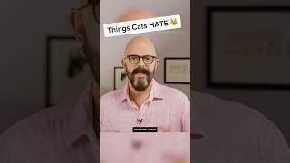 More things cats HATE cats catvideos [upl. by Ahtan176]