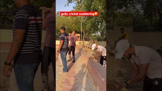 gully cricket  dont miss end viral comedy youtubeshorts cricket gullycricket funny delhi [upl. by Aitnom]