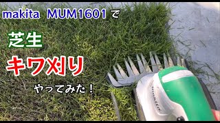 芝生 キワ刈りやってみた！バリカン式芝刈り機 makita MUM1601使ってみた！【118のりのり】 [upl. by Nailil]