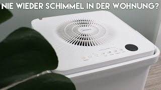 Sagt Schimmel den Kampf an Der Midea Cube Luftentfeuchter [upl. by Fotina94]