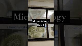 Day1 Microbiology daily practical science microbiology [upl. by Welton]