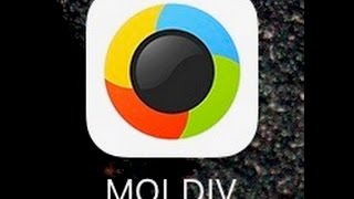 Tutorial how to use Moldiv [upl. by Nosyrb]