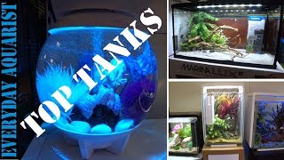 Top 5 Cheap Budget Small amp Nano Aquariums [upl. by Nosydam]