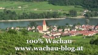 Urlaub in der Wachau Österreich  Weissenkirchen Wachau [upl. by Yatnoj]