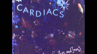 Cardiacs  Theres Too Many Irons In The Fire [upl. by Us]