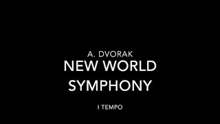 A Dvorak  New World Symphony  Nicola Moneta Octobass [upl. by Aihtak163]